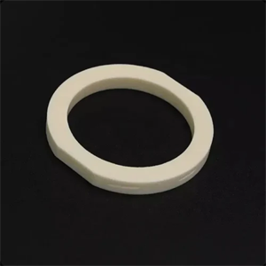 Alumina Ceramic Ring